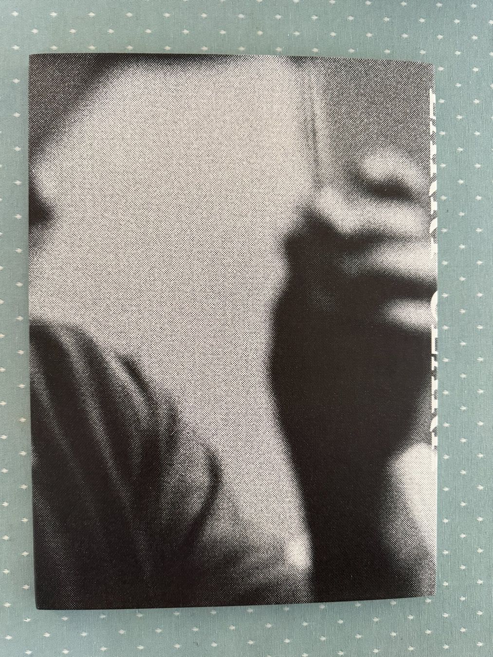 Libri: Fotobuch Larry Clark - Return – Nuovo (secondo la descrizione) da Bachenbülach venduto da photomoments 9
