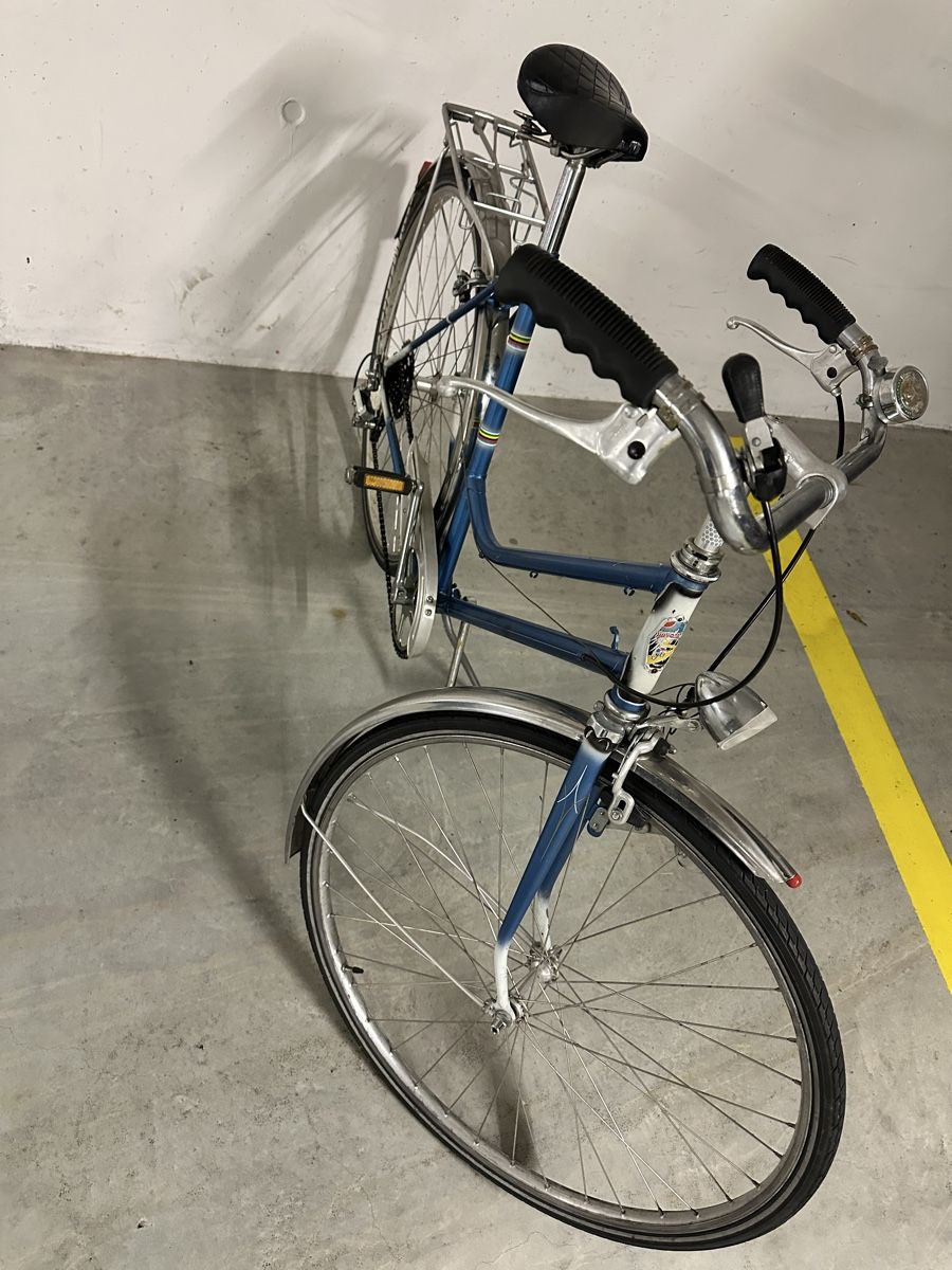 Vélos: Altes Damenvelo – Défectueux à Sursee par Stefanst01 2