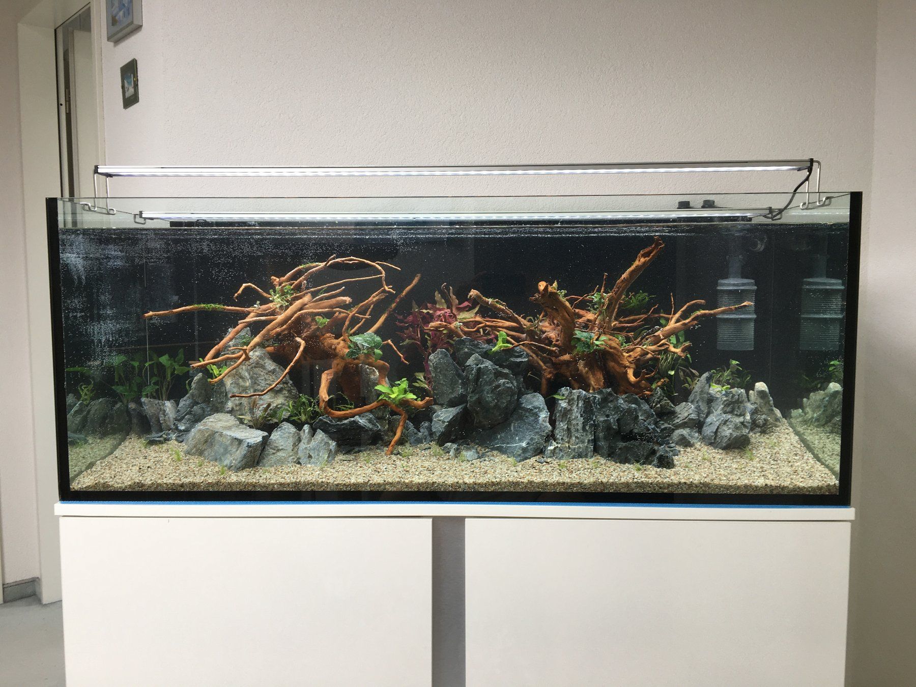 Eheim Acquari: Aquarium Eheim Incpiria 430 – Usato da Arbon venduto da Rasch70