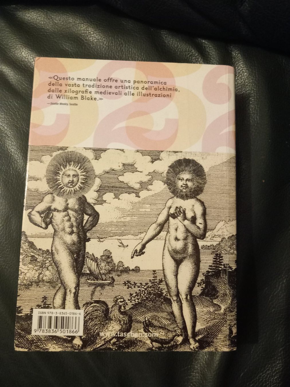 Bücher: Livre alchimia & mystica – Gebraucht aus Le Grand-Saconnex von Rgt87 1