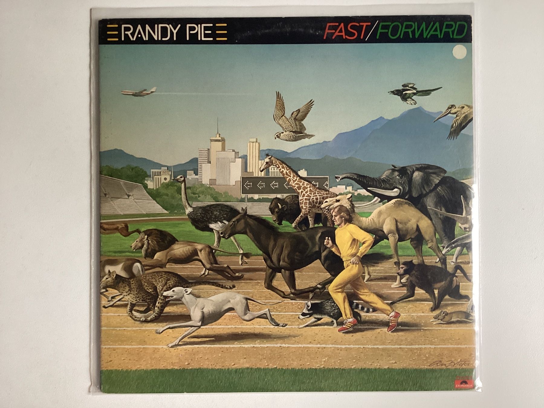 Dischi in vinile: Randy Pie LP - Fast / Forward (OFK) – Usato da Gutenswil venduto da Hamzian