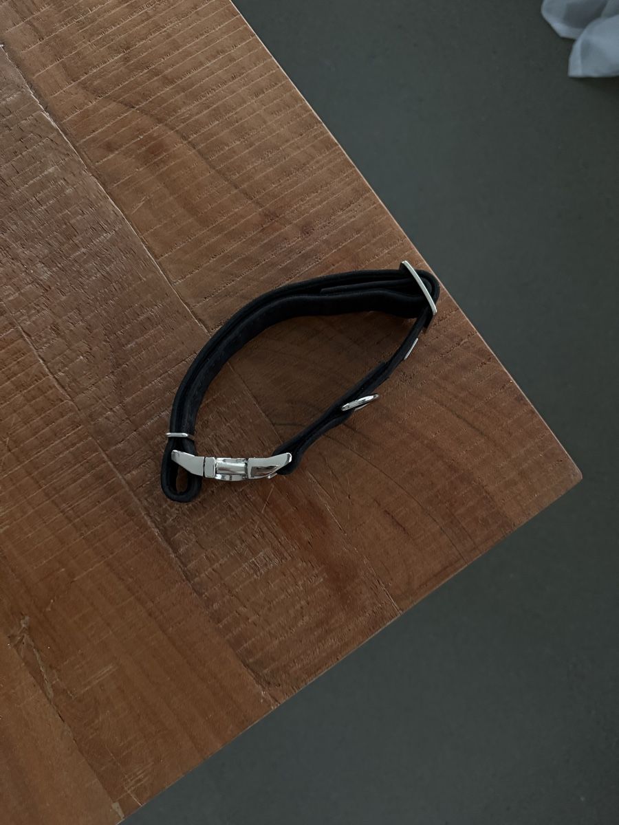Hunter Guinzagli & Collari: Hundehalsband – Nuovo e nell'imballaggio originale da Basel venduto da Mariaberi 1