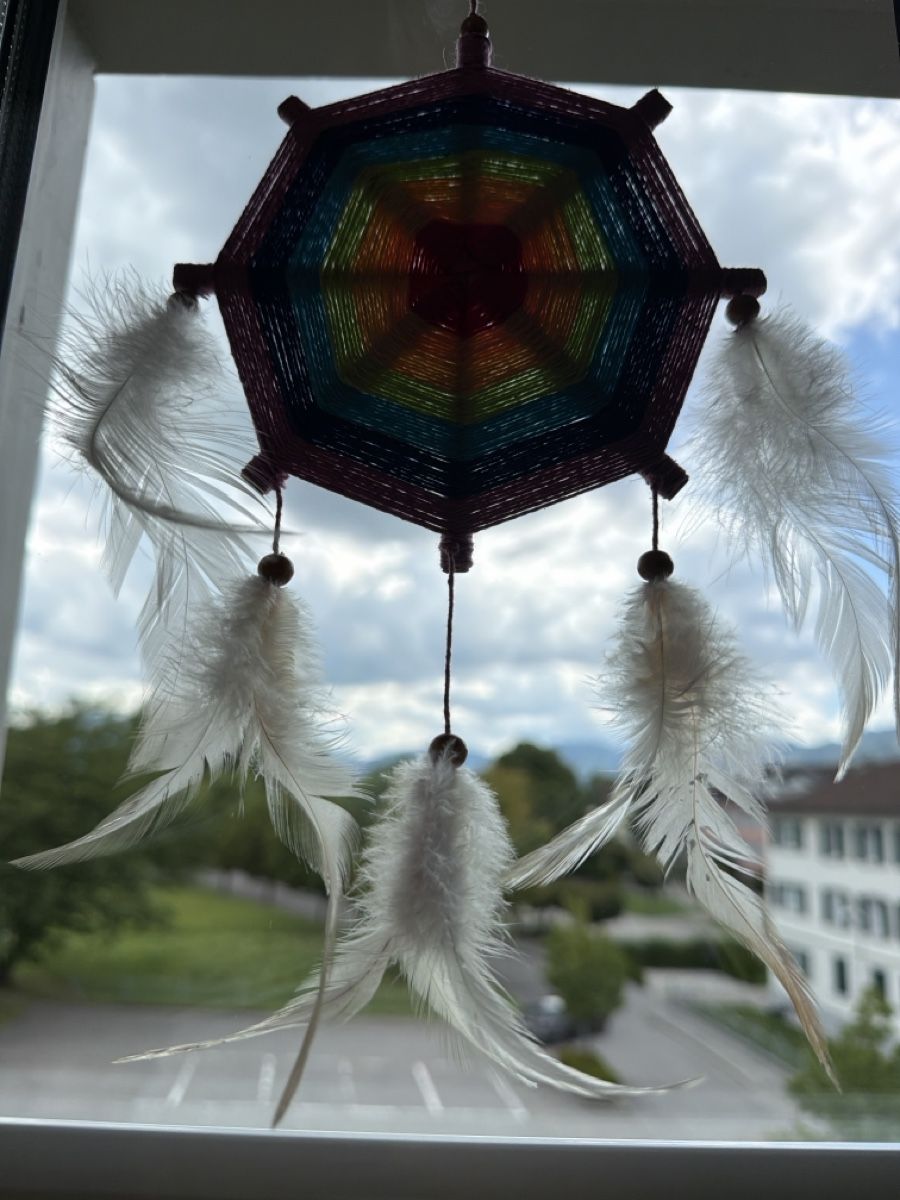 Tutte le decorazioni: Traumfanger Regenbogen handgemacht neu – Nuovo e nell'imballaggio originale da Widnau venduto da kustercarmen 6