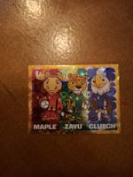 Paninibild FWC 3