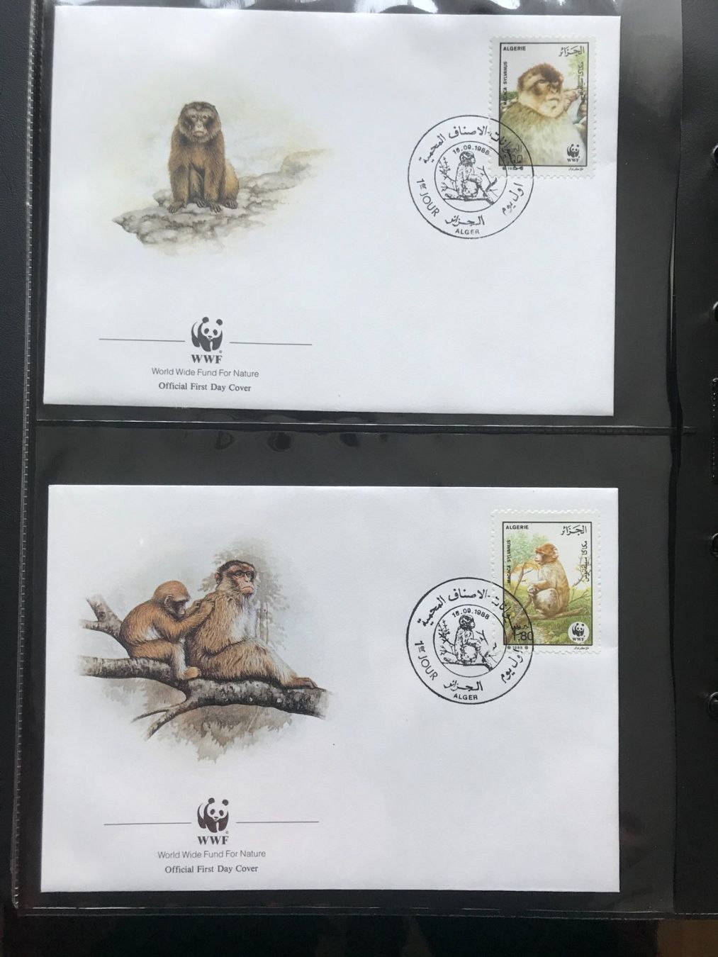 Tutti i francobolli: Algerien 1988 Satz WWF Berberaffe Ersttagsbriefe – Nuovo (secondo la descrizione) da Liestal venduto da schnueps 1