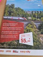 SBB Tageskarte Interdiscount 2. Klasse ohne Halbtax