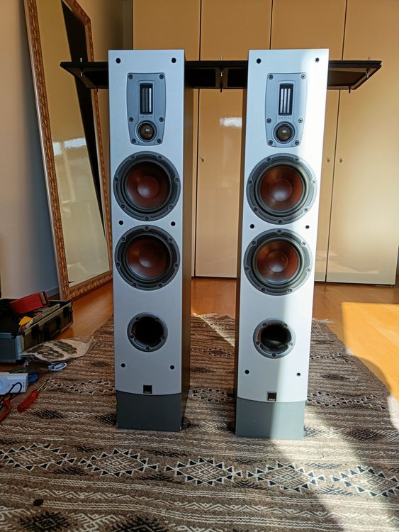 Dali Ikon 5 Kaufen auf Ricardo