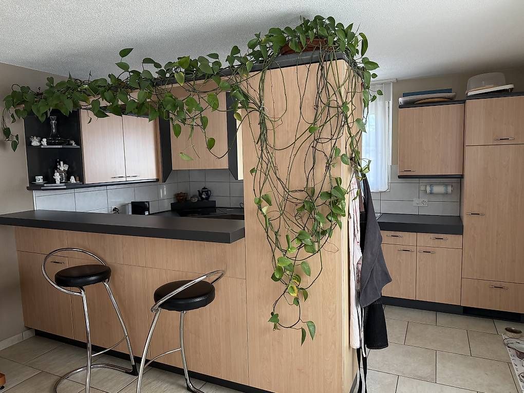 Cucine complete: Cuisine agencée  – Usato da Gumefens venduto da who_299g 4