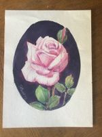 Rose 3ème d’Ernest Becker