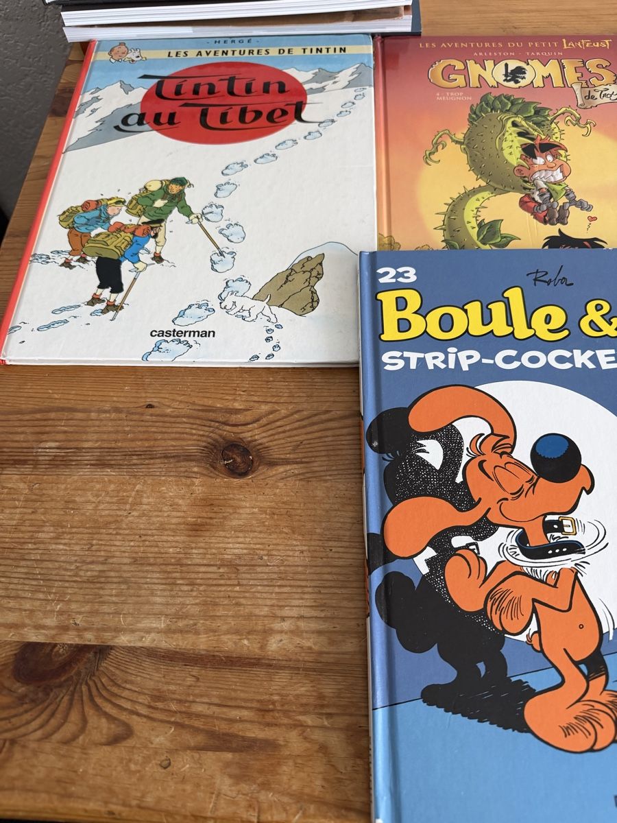 Fumetti: Lot de Bande Dessinée  – Usato da La Chaux-de-Fonds venduto da mih_t8qk 3