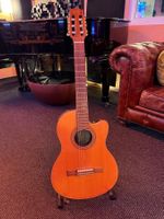 Gibson Chet Atkins CEC Nylon (1994 Centennial Anniversary)