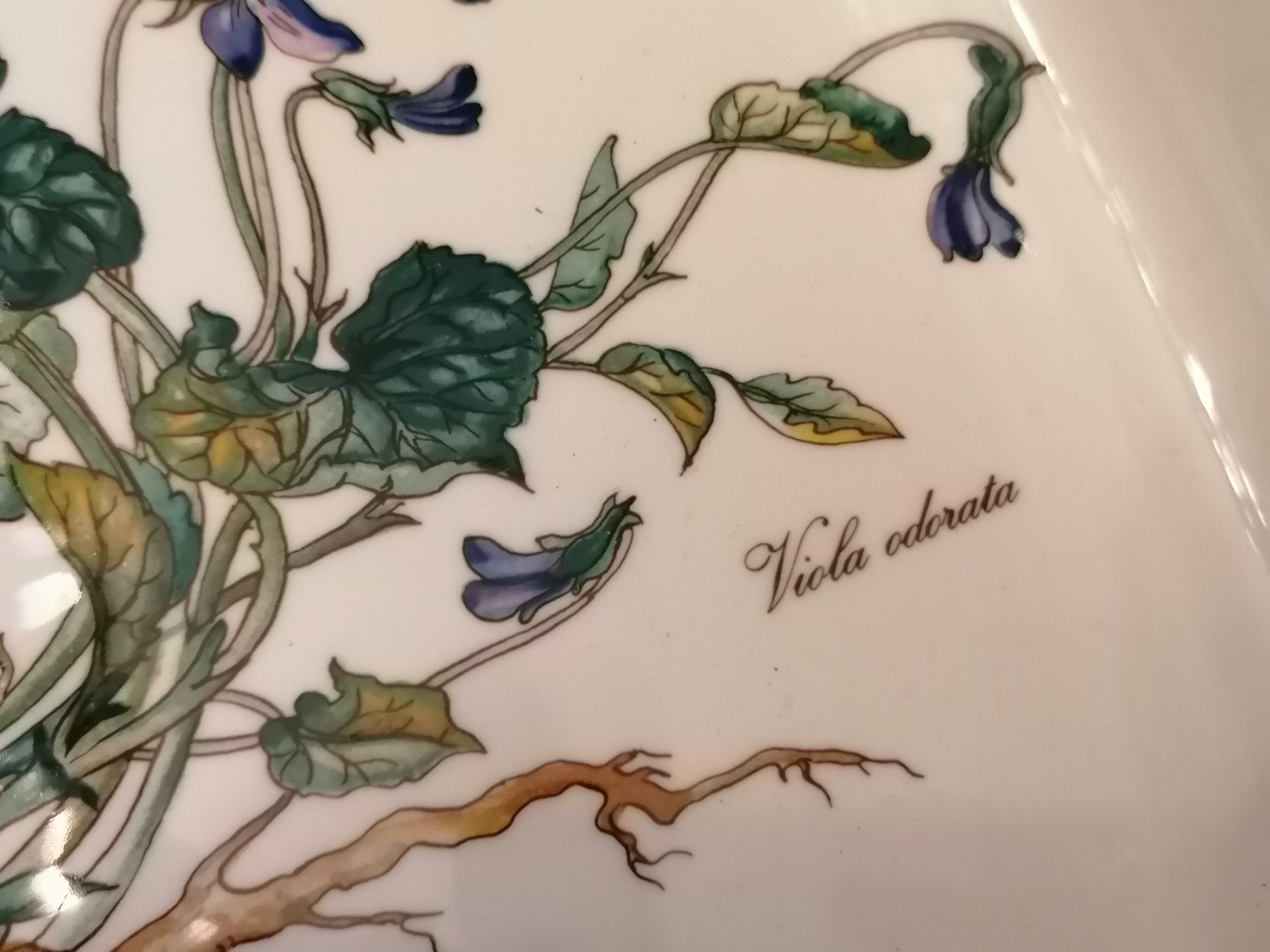 Villeroy & Boch Backformen: Villeroy & Boch - Botanica - Backform N.3 – Gebraucht aus Basel von vintagecollector 1
