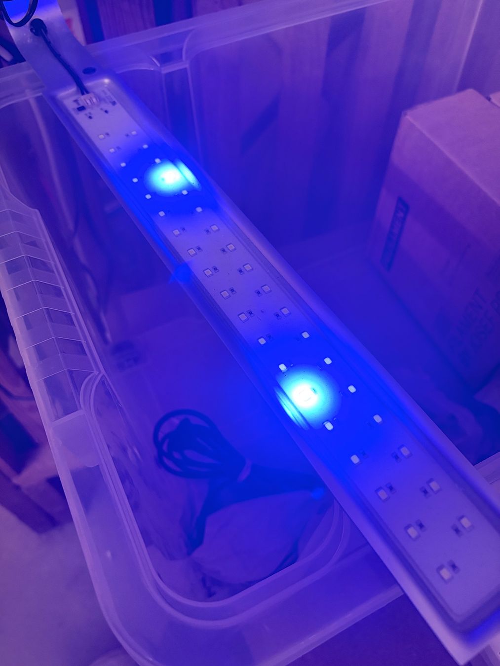 Fluval Lampade: Aquariumbeleuchtung – Nuovo (secondo la descrizione) da Embrach venduto da squarely
