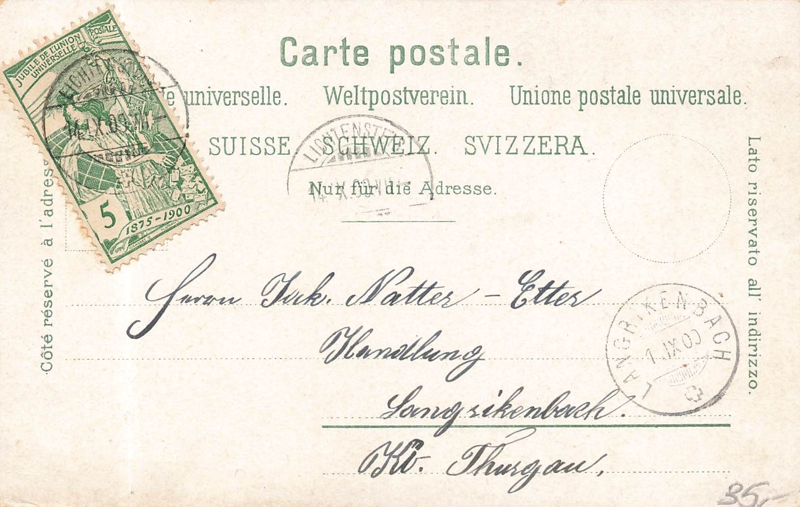 Cartoline postali: Lichtensteig (SG) Panorama – Usato da Biasca venduto da Blenio71 1