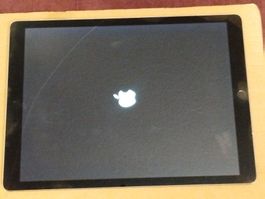 Gebrauchtes iPad Pro(12.9-inch) Modell A1584, keine Sperre