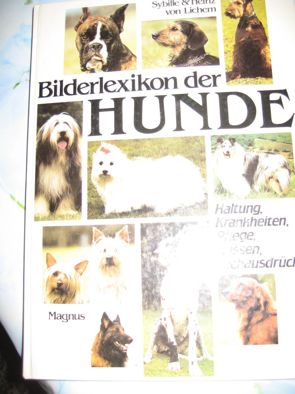 Libri: Buch über Hunde – Usato da Thun venduto da ade_h6qs
