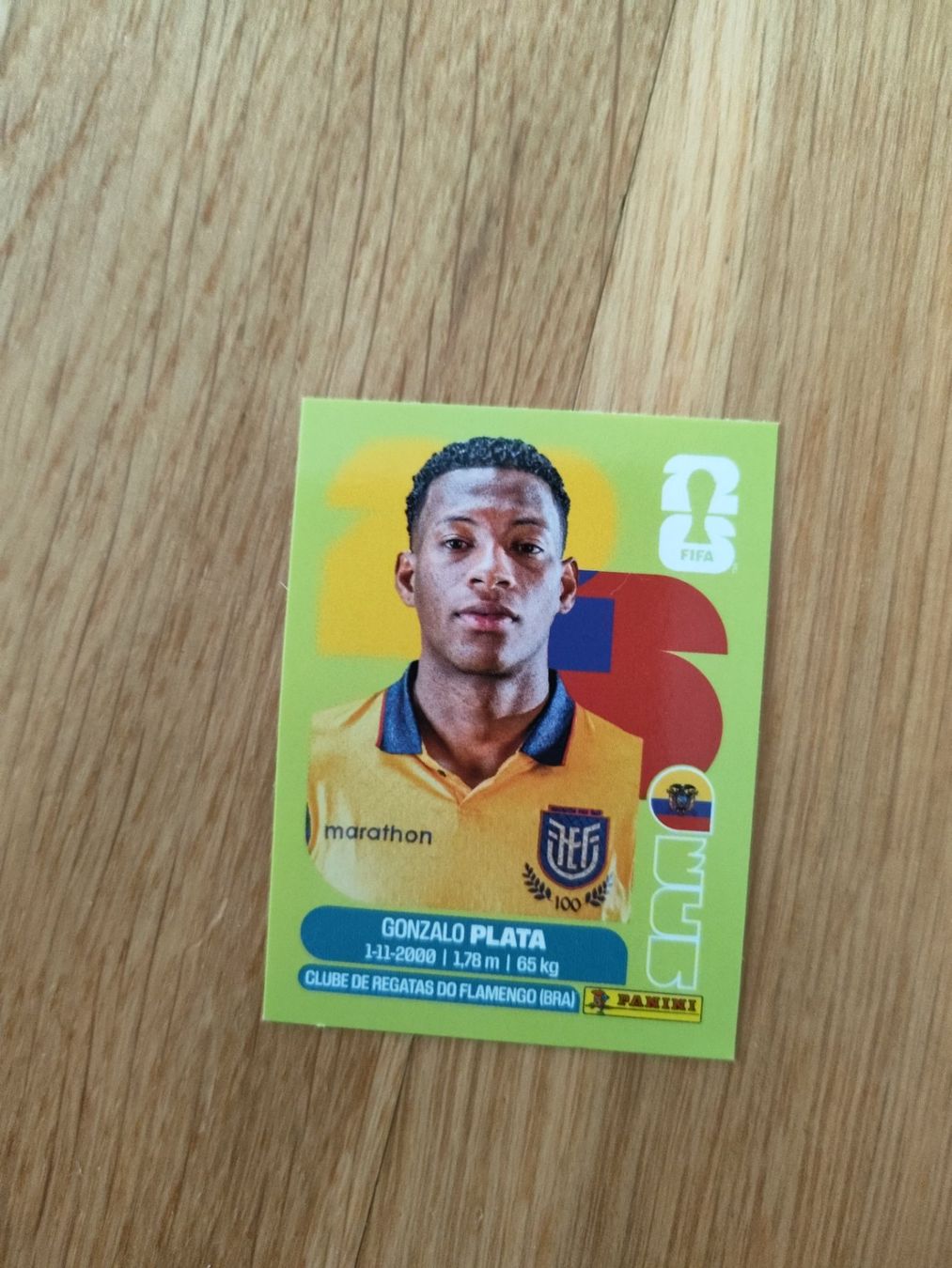 Panini Carte collezionabili: Panini WM 2026, ECU 16, Plata – Usato da Aarburg venduto da gloeckgloeck