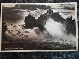 Rheinfall und Schloss Laufen