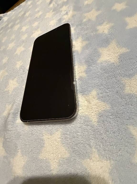 Handys / Smartphones: 13 pro Max  – Gebraucht aus Balterswil von das_8qzv 4