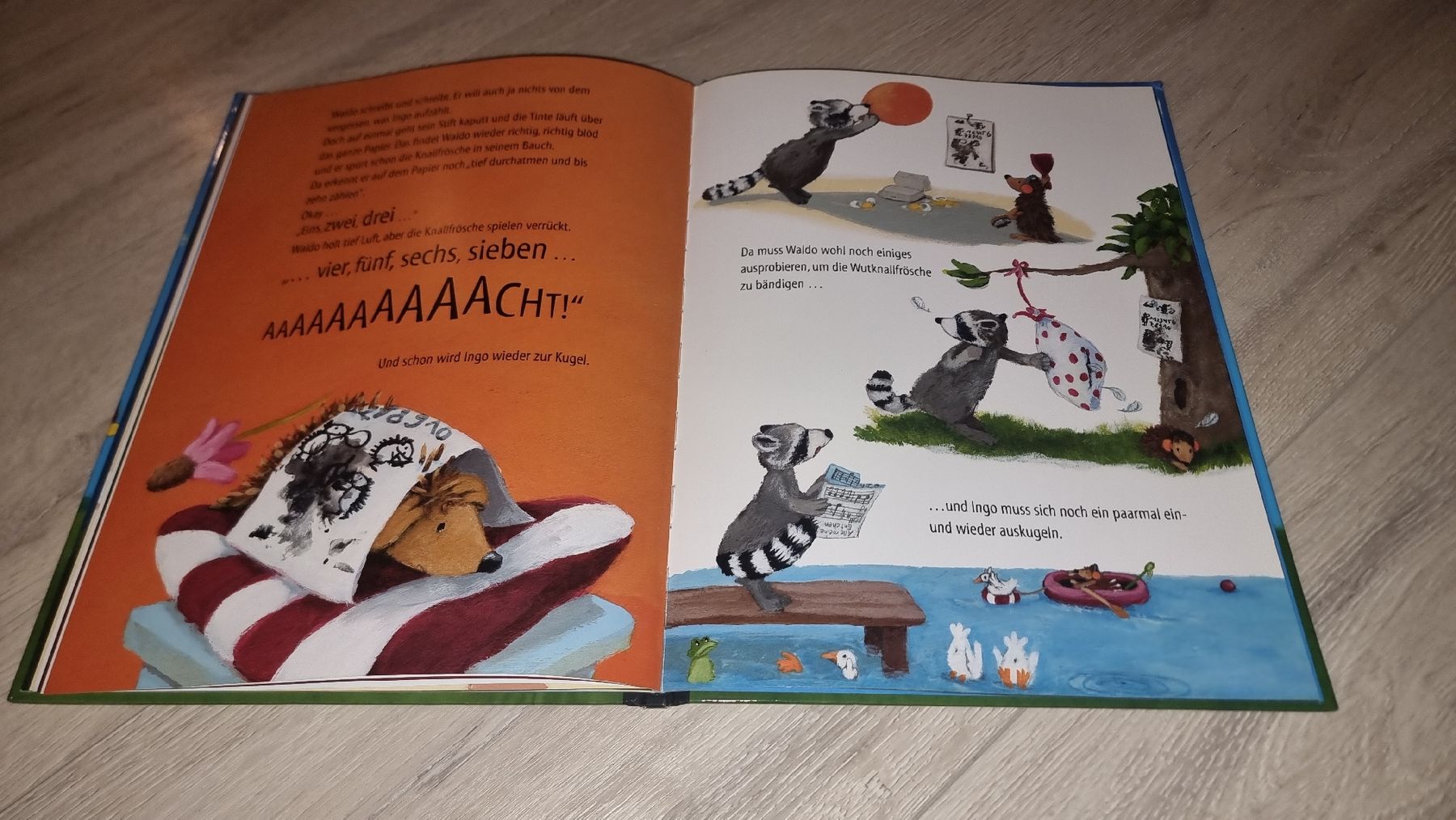 Bücher: Waldo Waschbär wütend wird neuwertig  – Neu (gemäss Beschreibung) aus Wigoltingen von Zuckerfee84 3