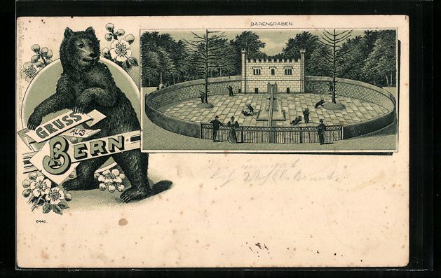 Cartoline postali: Litho Bern, Bärengraben, Gesamtansicht, – Usato da Berlin venduto da bartko-reher