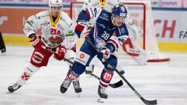 1x Stehplatz-Ticket ZSC Lions - EHC Biel