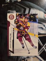 Simon Le Coultre HC Geneve Servette Sportzoo 2024/25