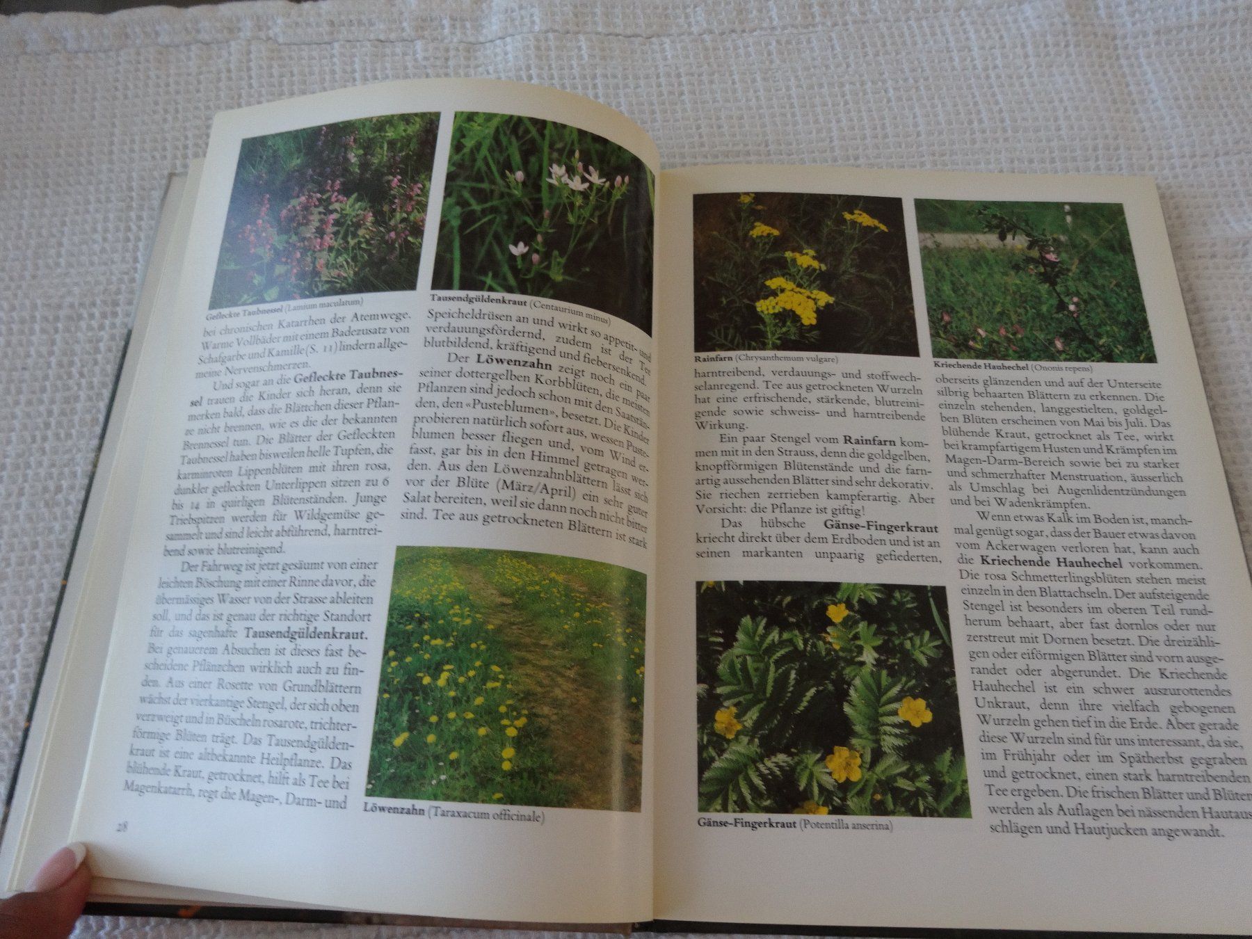 Libri: Streifzug durch Wald und Wiese – Usato da Neerach venduto da jenny062 4