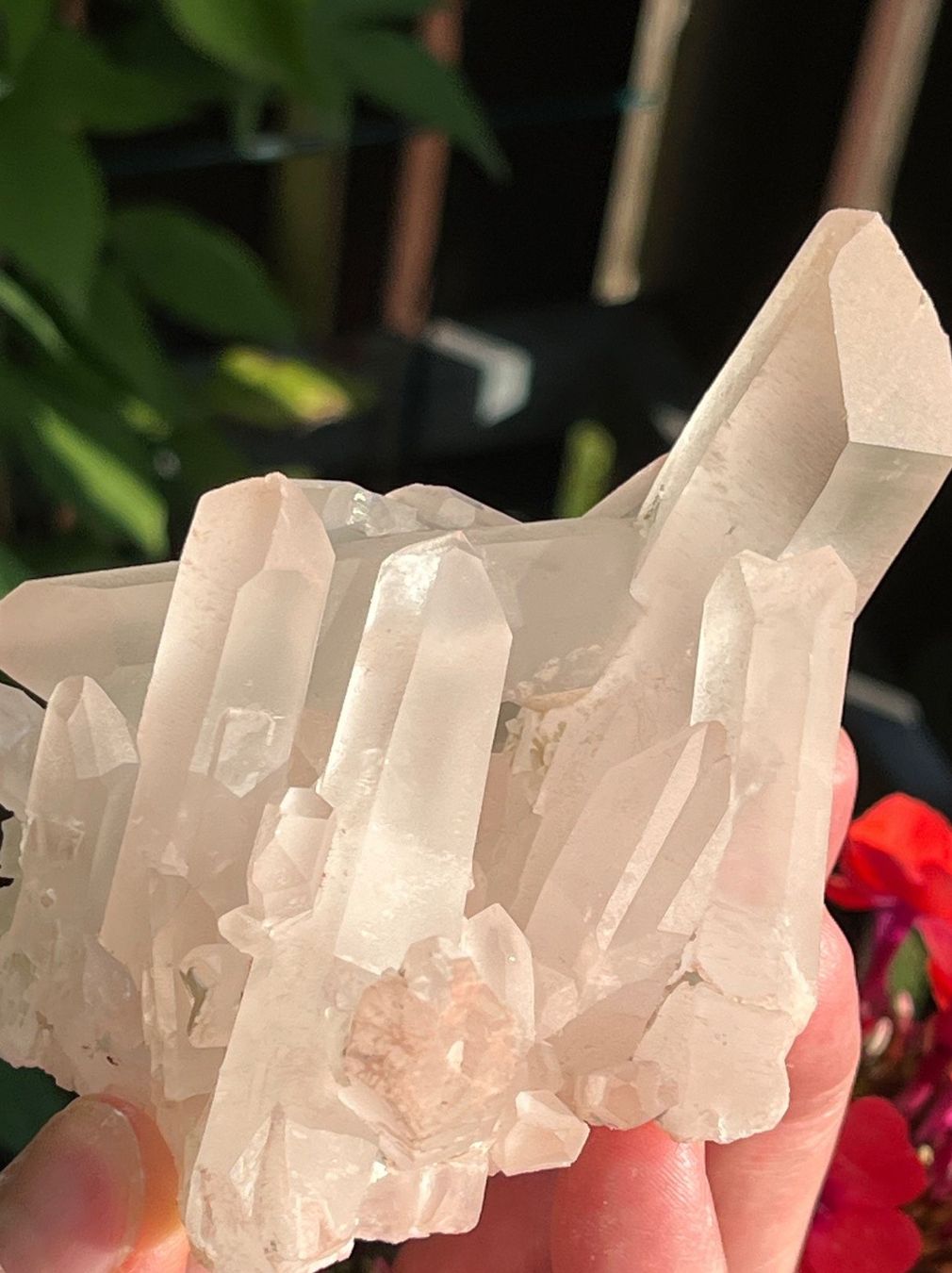 Minerali & Pietre curative: Bergkristall mit bis zu 7 cm langen Spitzen! – Usato da Uster venduto da Arrayo 1