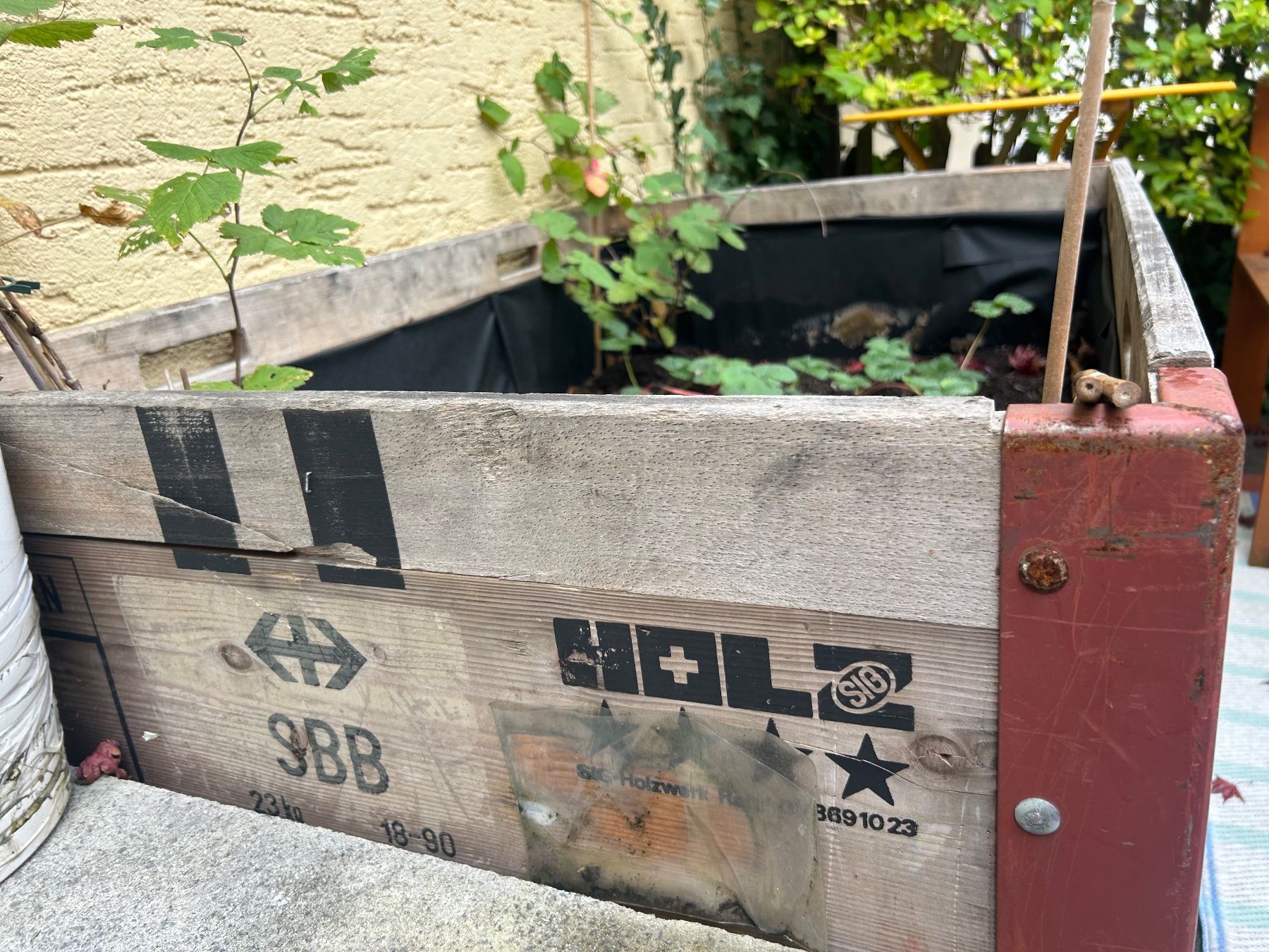 Box contenitori: SBB palettenrahmen – Usato da Pfäffikon SZ venduto da chi_2p8d 1