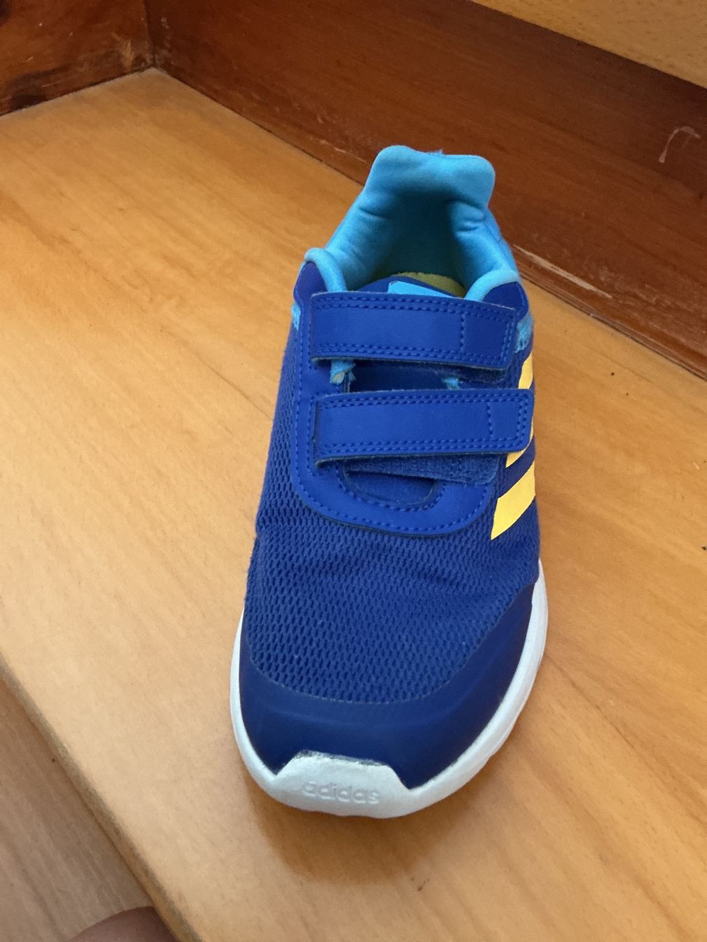 Adidas Scarpe per ragazzi: Adidas Hallenturnschuhe 36 – Usato da Zürich venduto da cnben 1