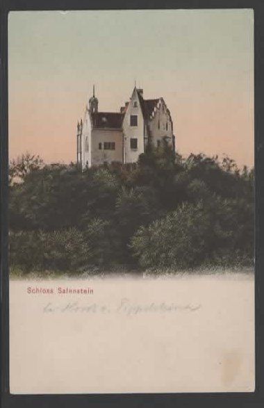 Ansichtskarten: SCHLOSS SALENSTEIN   (M – Gebraucht aus Ruggell von Masescha