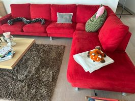 Grosses rotes Sofa