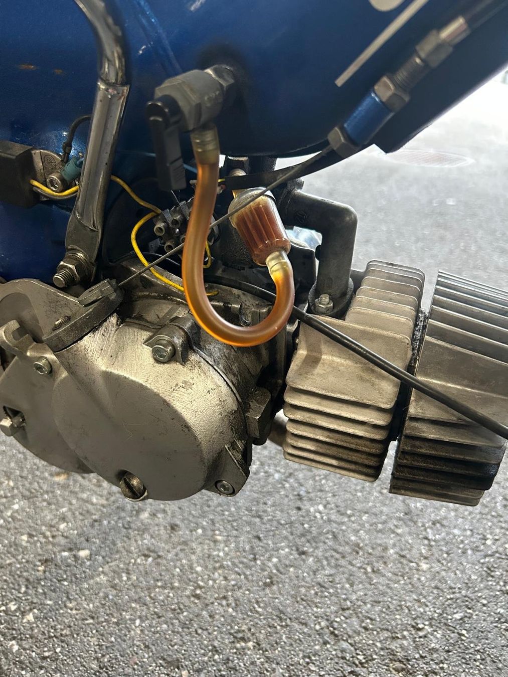 Puch Ciclomotori: Puch Supermaxi LG2 mit E50 Motor – Usato da Willisau venduto da heiwil 4