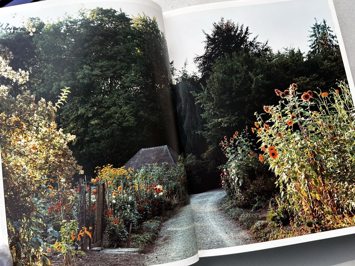 Libri: Fotobuch "Thomas Struth Löwenzahnzimmer" – Usato da Zürich venduto da Coffeetable88 2