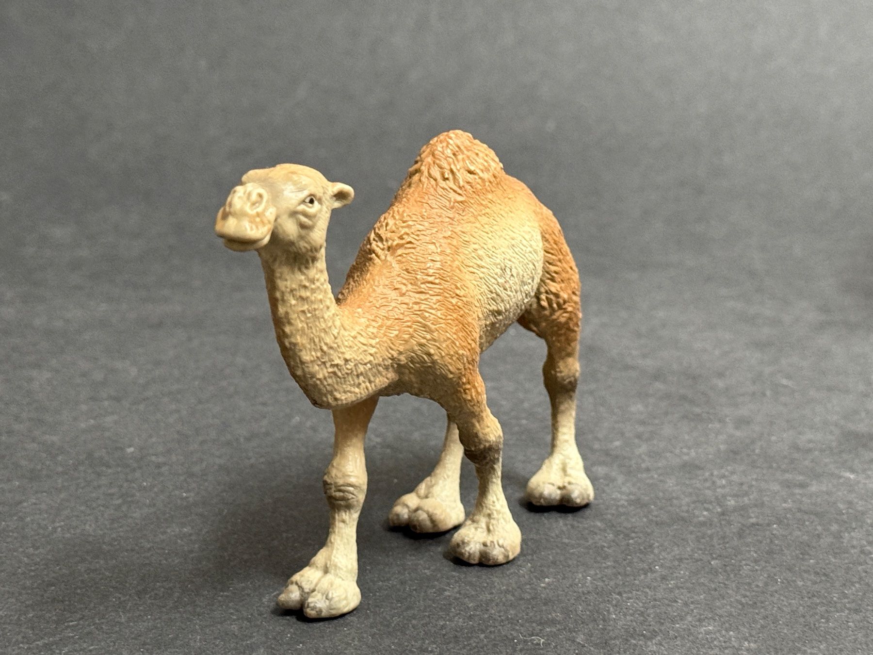 Schleich Statuette: Schleich Dromedar Stute Kamel – Usato da Ennetbaden venduto da mapa05 4