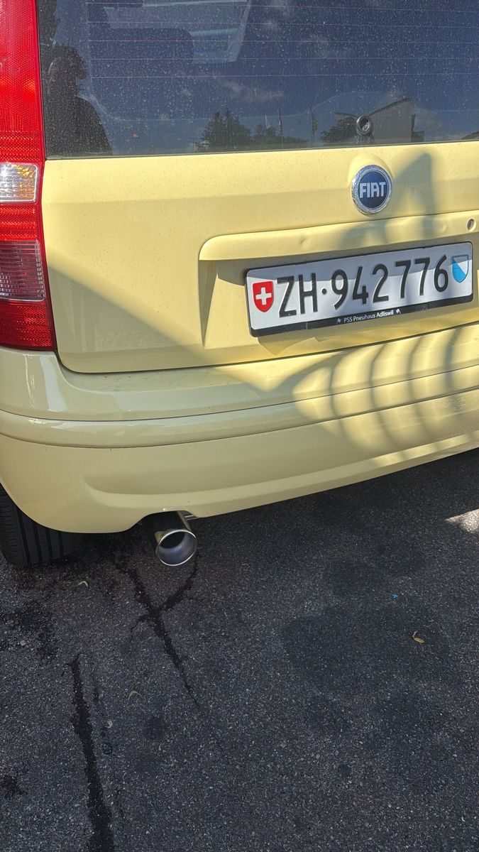 Fiat Automobili: Fiat Panda 1.2 mit MFK – Usato da Thalwil venduto da ABARTH112 5