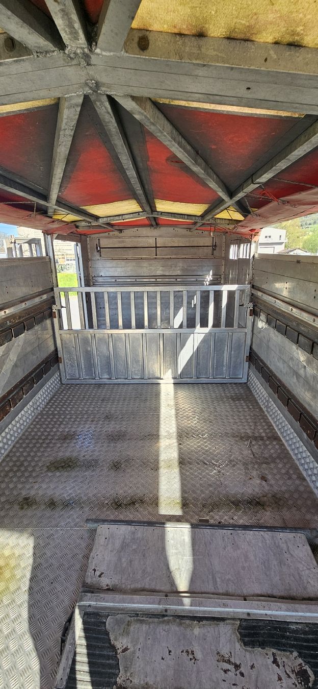 Contenitori edile: Viehaufbau 16.4m² – Usato da Flums venduto da Frosch850 6