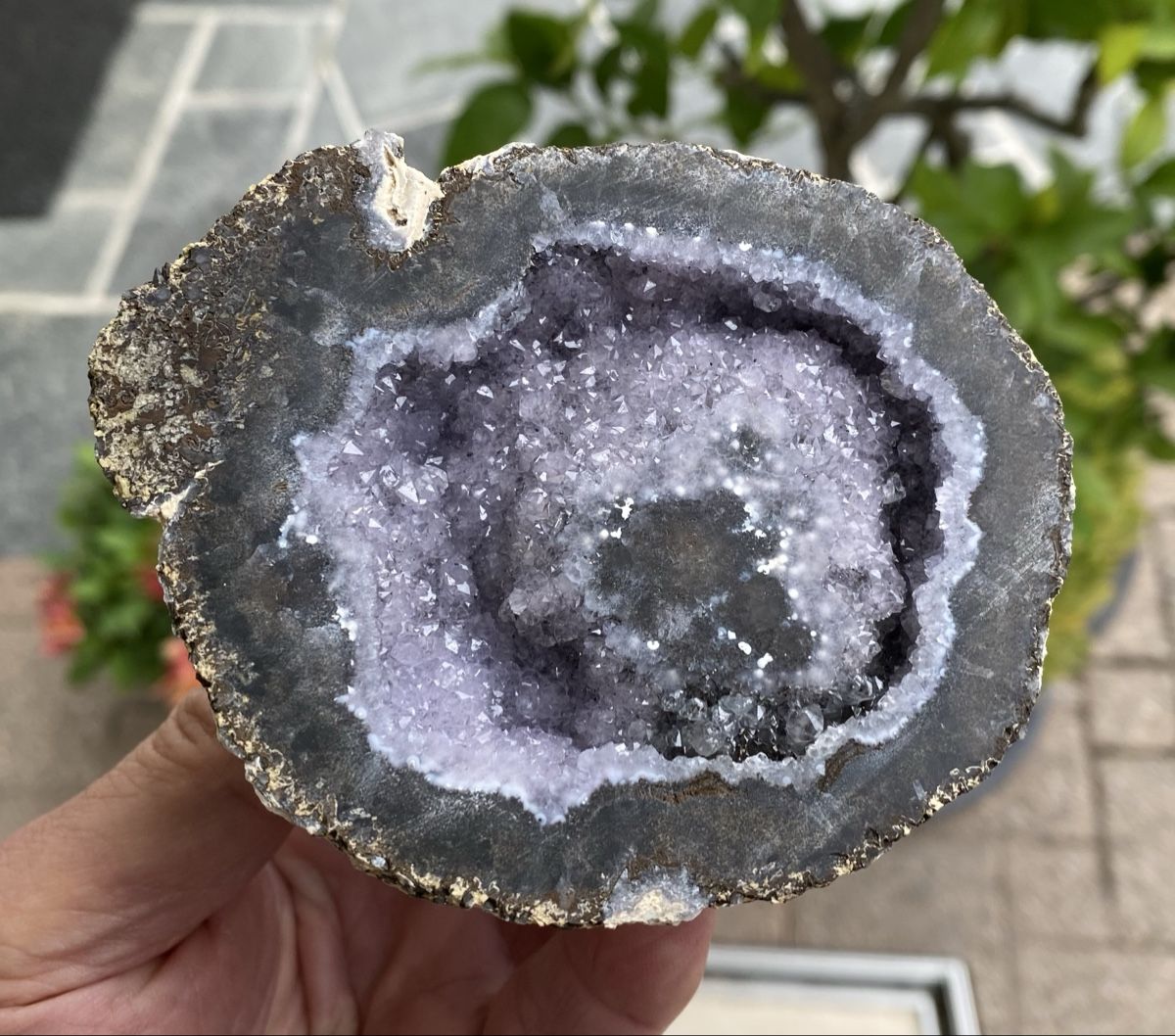 Mineralien & Heilsteine: Sehr schöne Geode  – Gebraucht aus Selzach von 321compac 4