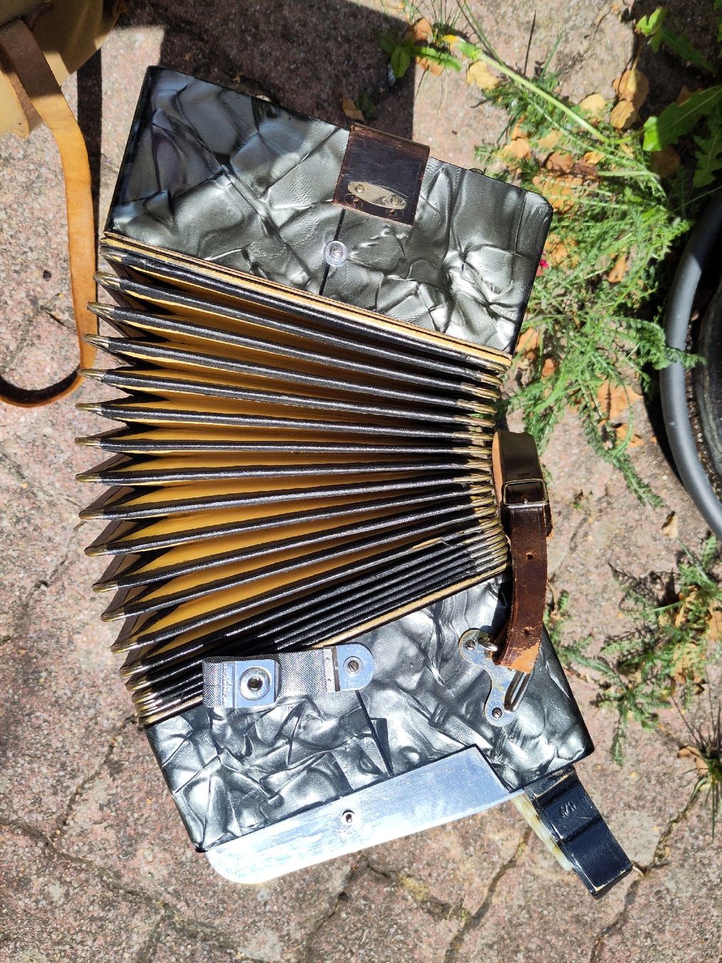 Hohner Strumenti musicali: Accordéon diatonique Hohner Sonora 2 – Usato da Corcelles-le-Jorat venduto da che_f7js 8