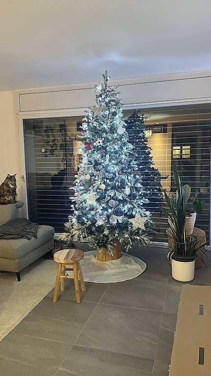 Tutte le decorazioni: Albero di Natale 210 cm – Usato da Caslano venduto da mar_vj2l 1