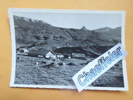 130 Alp Fursch m. Spitzmeilen Flums-