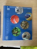 LMVZ 4. Klasse Mathematik Themenbuch & Lösungen 