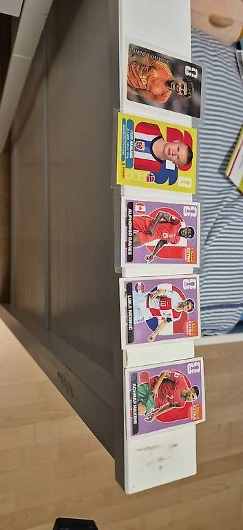 Sammelbilder & Trading cards: Panini – Gebraucht aus Frauenfeld von filipak