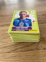 Panini WM 2026 120 Sammelbilder