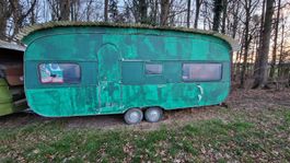 Kleintierwagen, Schattenwagen, Schafwagen, Viehwagen Weide