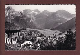 LES DIABLERETS - Chèvres - 1960