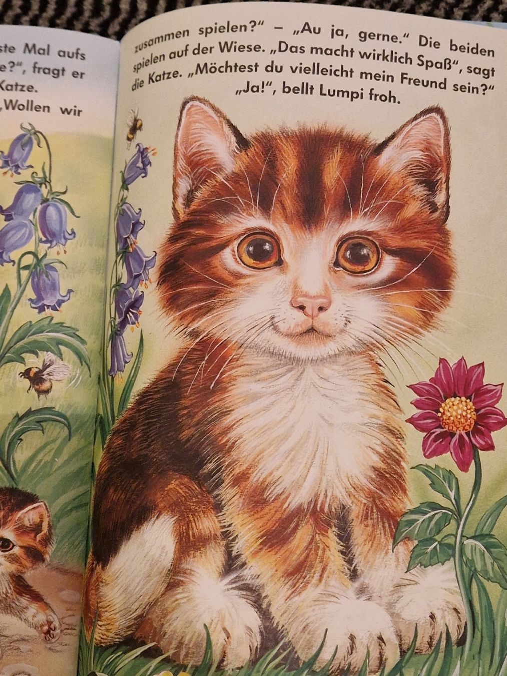Bücher: wunderschöne Kinderbücher, ab 3Fr. pro Buch – Gebraucht aus Henau von ale_bc8n 2