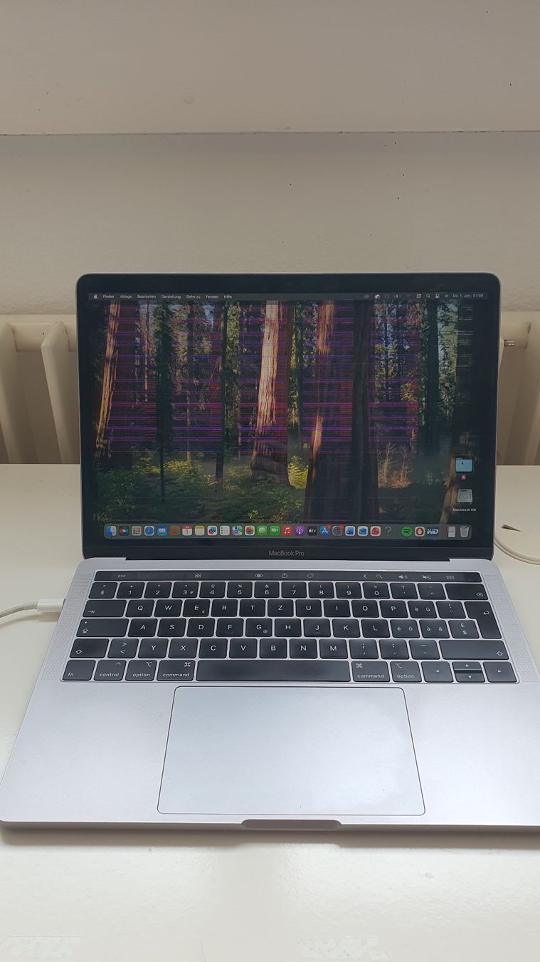 Apple Notebook: MacBook Pro 2019, 13'' DEFEKT – Difettoso da Luzern venduto da anj_7kxq 3