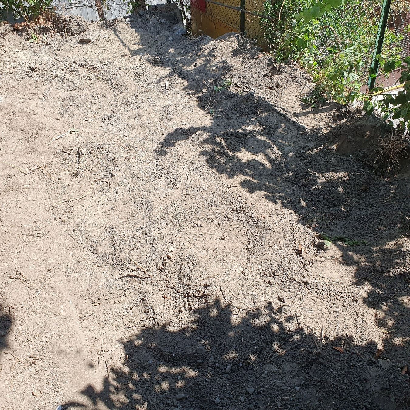 Plantes & graines: Gratis Humus/Erde – D'occasion à Azmoos par Hel_bk7y 1